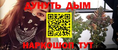 дживик Кимры