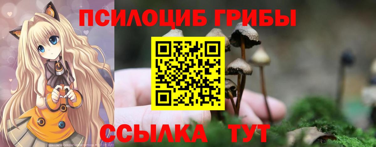 что такое наркотик  Псилоцибиновые грибы мухоморы  Вход с VPN  Лесозаводск 